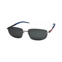 LENTES DE SOL ALPINE MOD. F1-2207